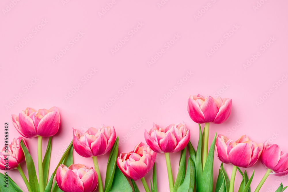 Pink pastel background with pink tulips. Copy space, top view. Pink pastel background with pink tulips. Copy space, top view.