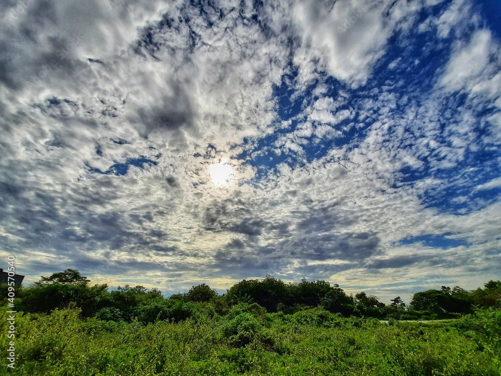 beautiful morning landscape with blue sky, white clouds, sun bright and green grass beautiful morning landscape with blue sky, white clouds, sun bright and green grass