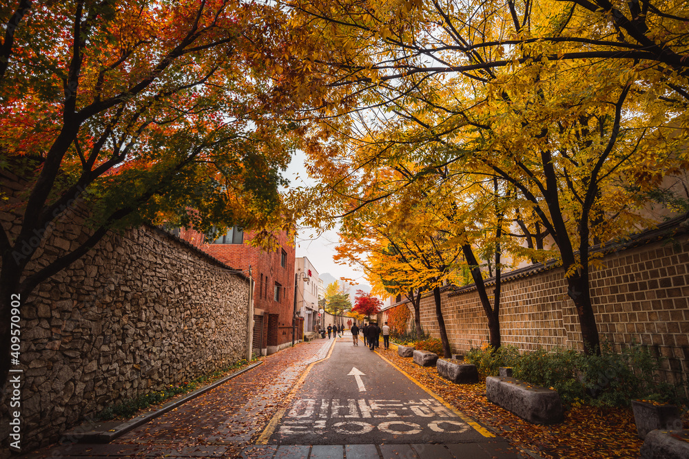 Fototapeta premium autumn in the park