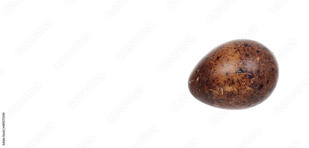 Raw quail egg, isolated on white background.