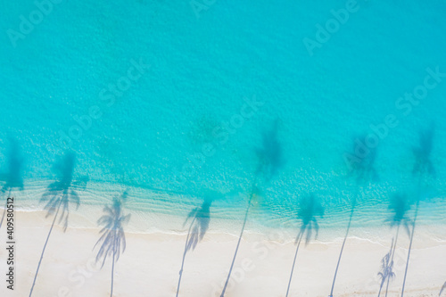 Palm trees shadow on the sandy beach and turquoise ocean from above. Amazing summer nature landscape. Stunning sunny beach scenery, relaxing peaceful and inspirational beach vacation template
