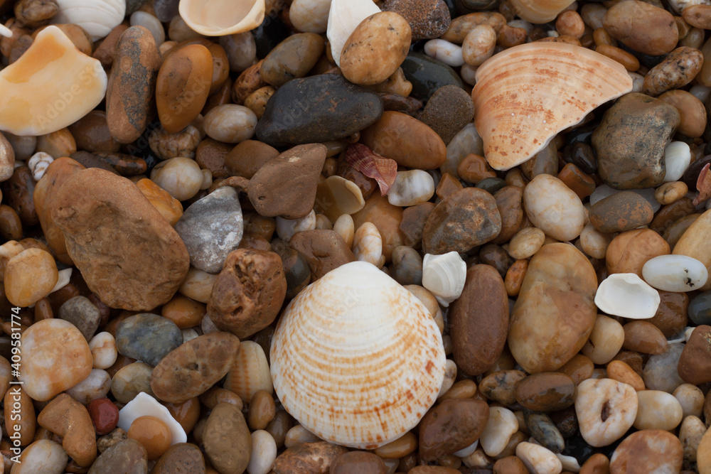 Petits cailloux et coquillages sur une plage, gros plan sur les différents éléments avec beaucoup de couleurs et une dominante jaune marron. Petits cailloux et coquillages sur une plage, gros plan sur les différents éléments avec beaucoup de couleurs et une dominante jaune marron.