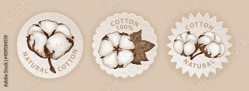 Set of three emblems in eco style with hand sketched cotton plant. Realistic labels different shapes with cotton flowers. Vector botanical illustration. Natural organic and eco concepts