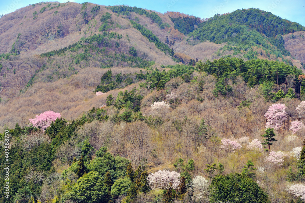 早春の山の風景 早春の山の風景