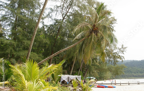 People sunbathe and swim at the beach paradise of coconut island photo