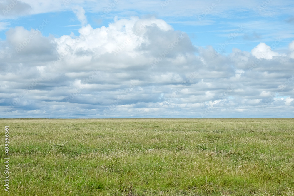 African grass green savanna with cloud covered sky