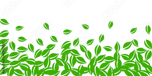 Falling green leaves. Fresh tea neat leaves flying