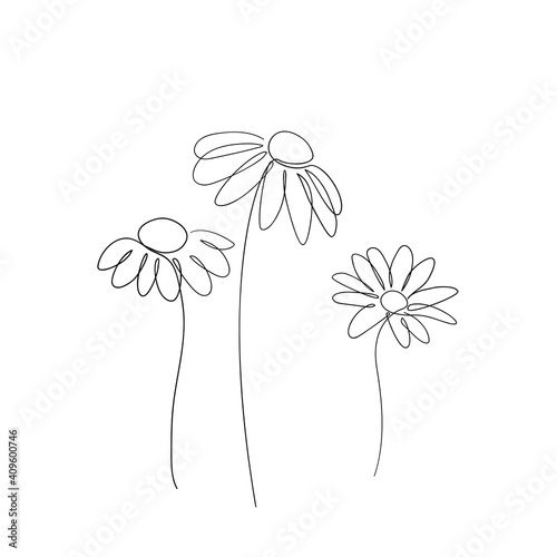 Chamomile flower line art drawing. Minimalist botanical icon, logo, design. Hand drawn Daisy flower vector illustration. One line drawing