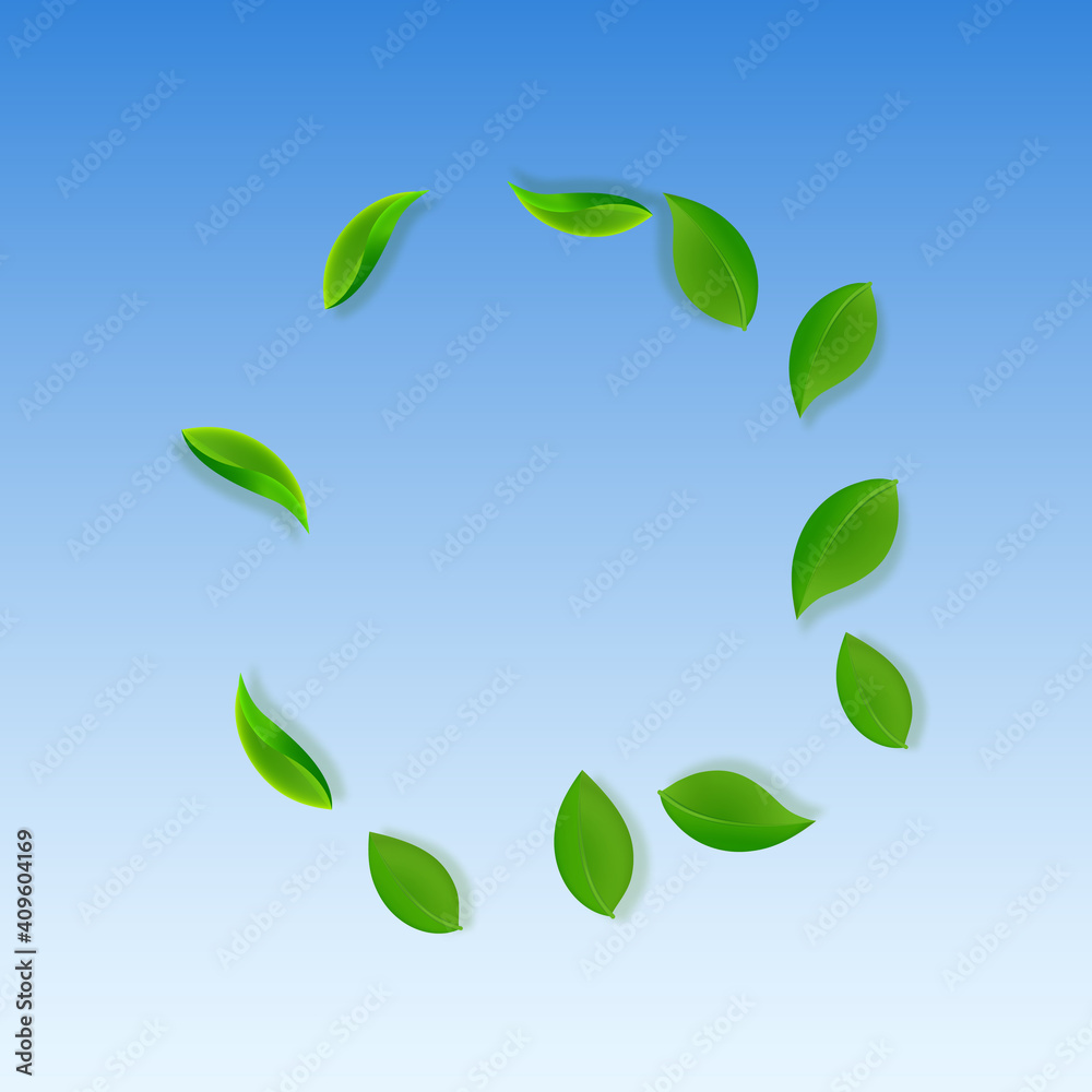 Falling green leaves. Fresh tea neat leaves flying