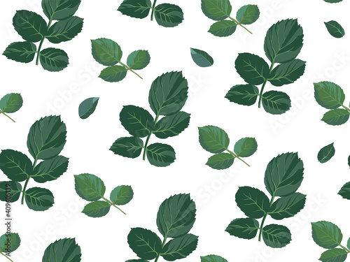 Rose leaves and branches seamless pattern vector