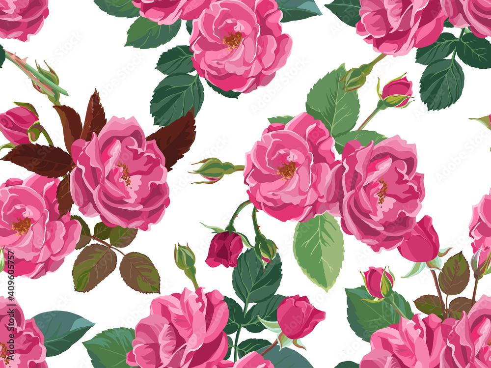 Pink roses or peonies with leaves and branches Pink roses or peonies with leaves and branches