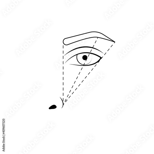 Eyebrow tattoo, marking scheme. Eyebrow correction, microblading