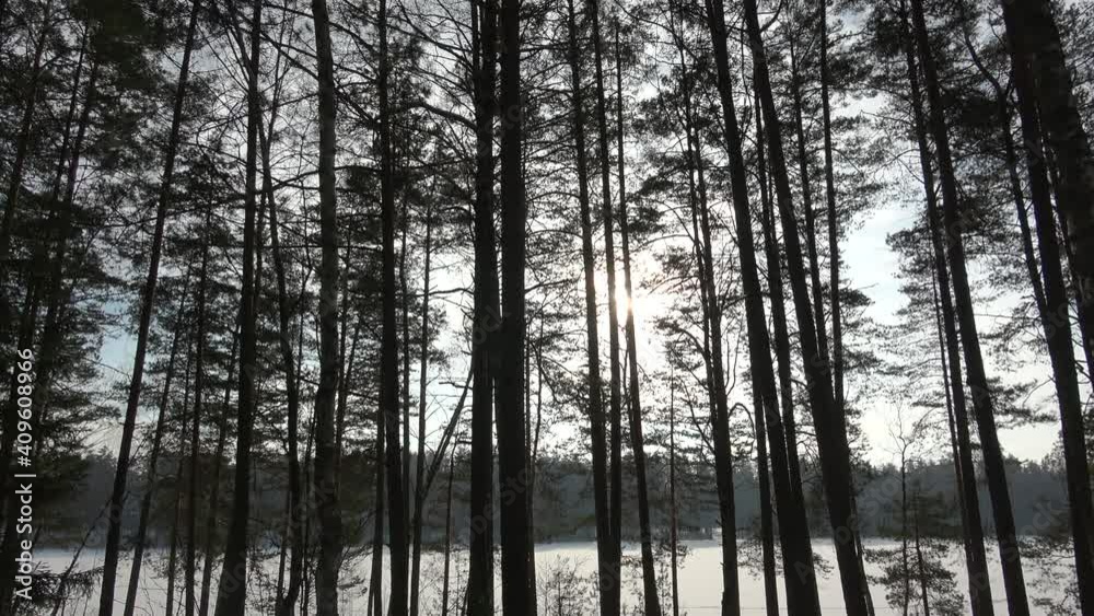Lake Streshno and winter forest Lake Streshno and winter forest