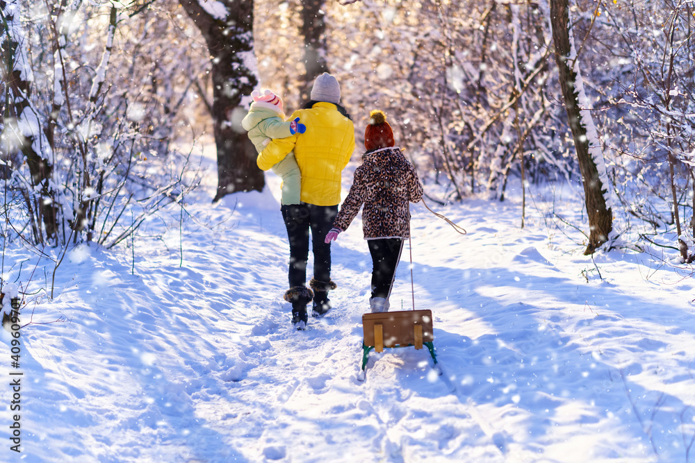 family walks in the winter forest, mother and children, bright sunlight and shadows on the snow, beautiful nature