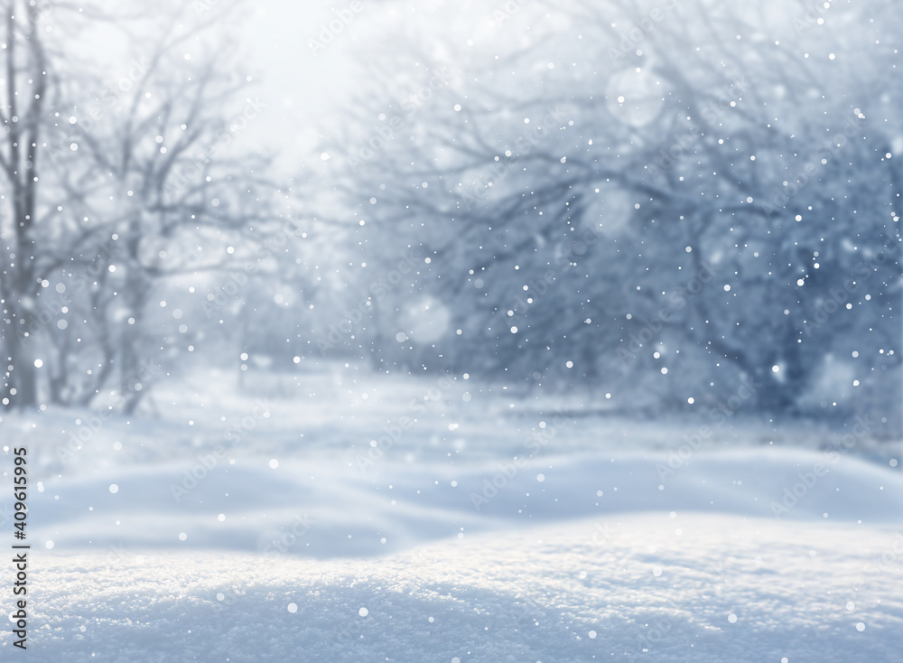 Fototapeta premium Beautiful fluffy snow in forest. Winter season
