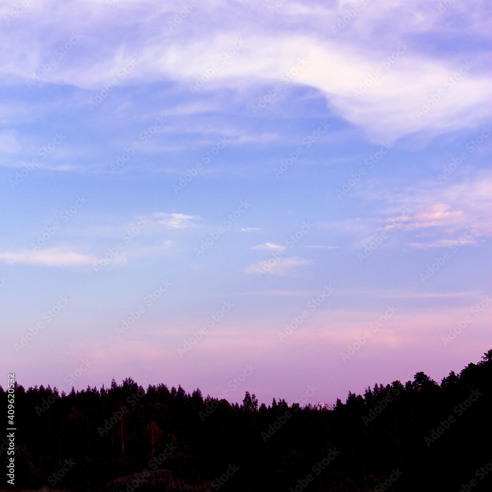 Pink and lilac sky, sunset over dark forest Pink and lilac sky, sunset over dark forest