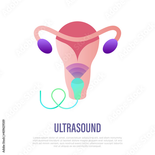 Gynecology ultrasound. Medical examination, obstetrics. Uterus and ovaries. Thin line icon. Vector illustration.