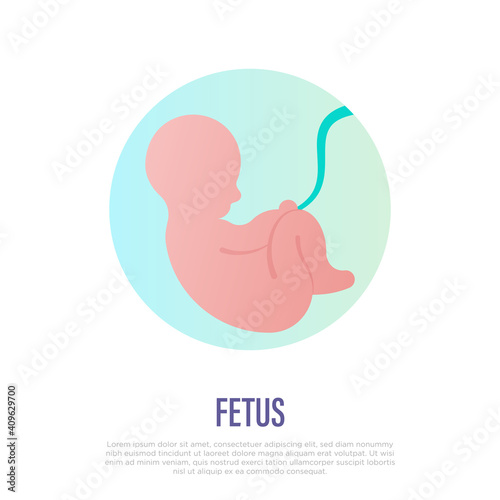 Development of fetus in uterine. Gynecology, reproductive. Thin line icon. Vector illustration.