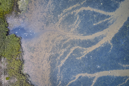 Abstract photo