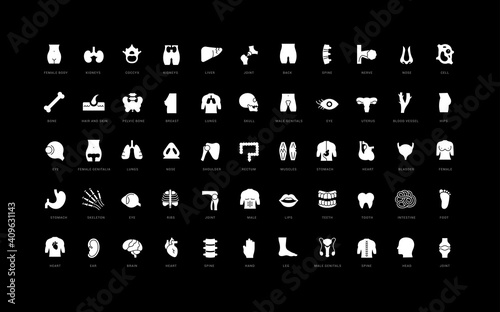 Set of simple icons of Anatomy