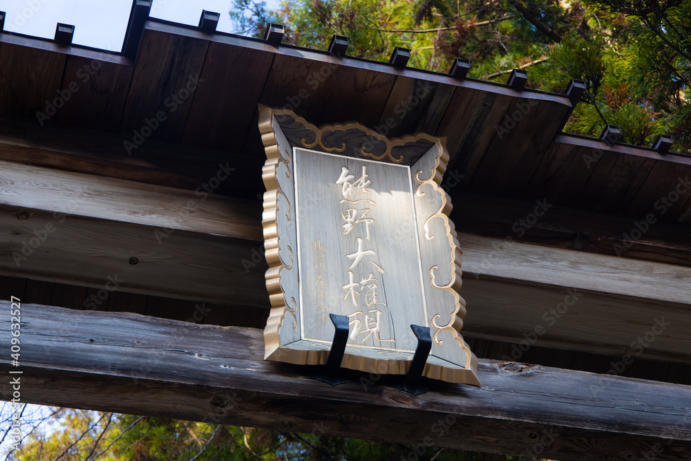 Obraz premium 鳥居