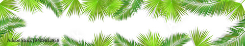 A Long horizontal frame of palm leaves. Hello summer. Vector illustration