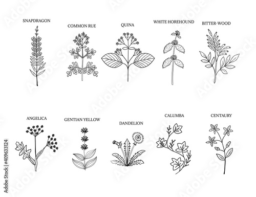 bitter herbs part 1