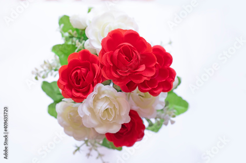 Beautiful red and white roses isolated on white © avs