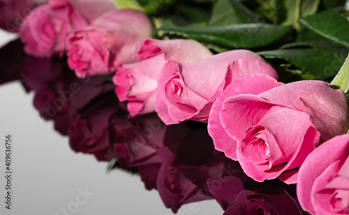 Bouquet of pink roses. Great reflection. Greeting card for Valentine s Day and birthday