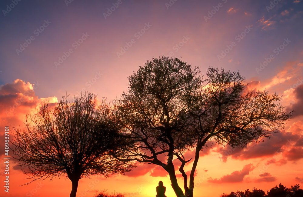 Beautiful sunset with a silhouette of a lone woman sitting between two terebinth trees; Tel Azekah hill in Ayalon Valley, Israel Beautiful sunset with a silhouette of a lone woman sitting between two terebinth trees; Tel Azekah hill in Ayalon Valley, Israel