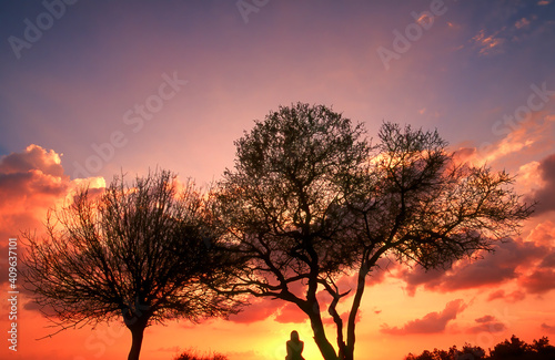 Beautiful sunset with a silhouette of a lone woman sitting between two terebinth trees; Tel Azekah hill in Ayalon Valley, Israel