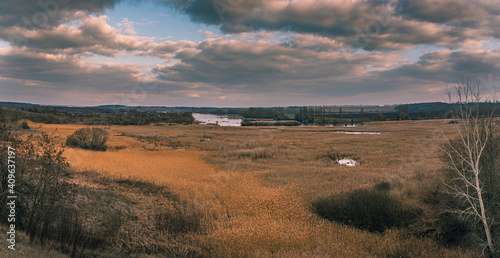 Spring landscape