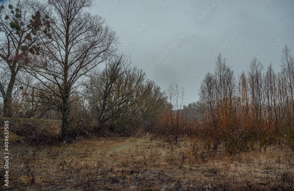 Spring landscape Spring landscape