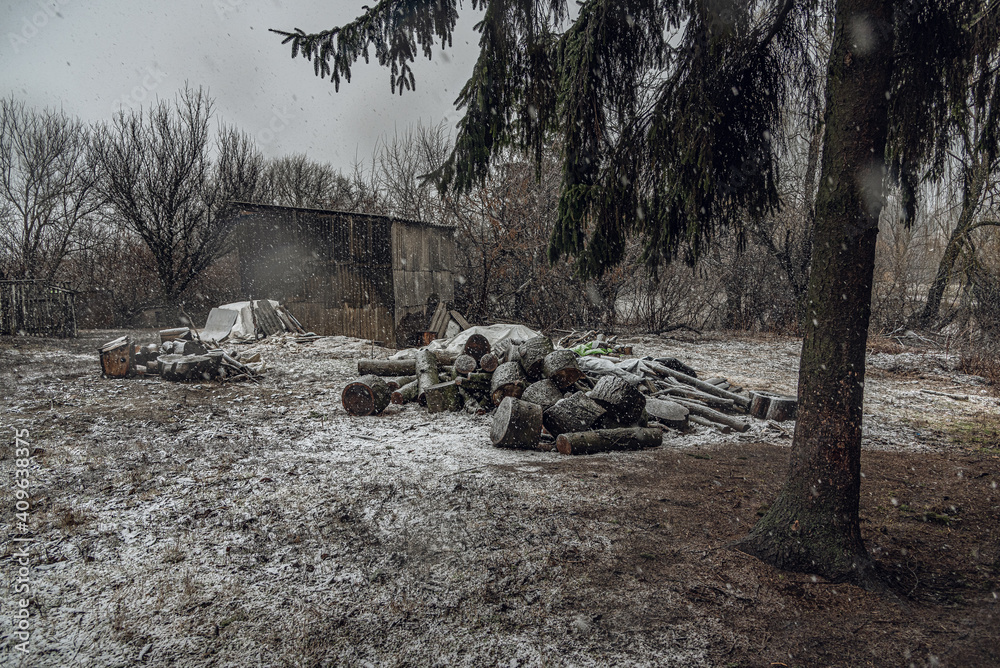 Obraz premium Spring landscape