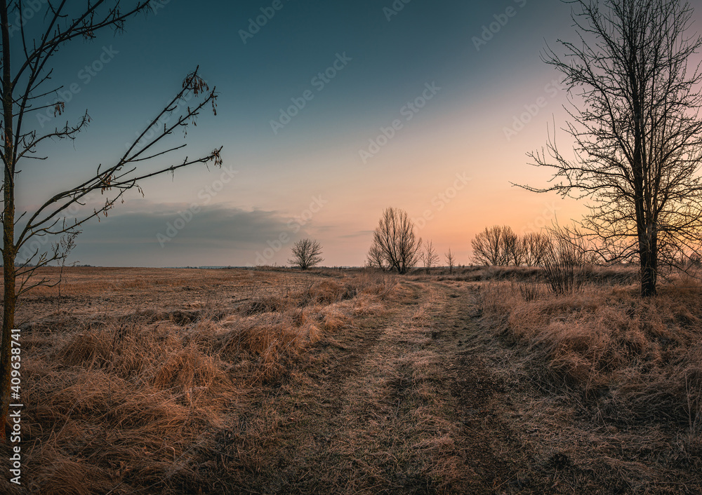 Fototapeta premium Winter moring among fields