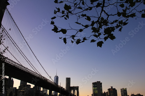 Brooklyn bridge and lower manhattan with tree top and colorful sky