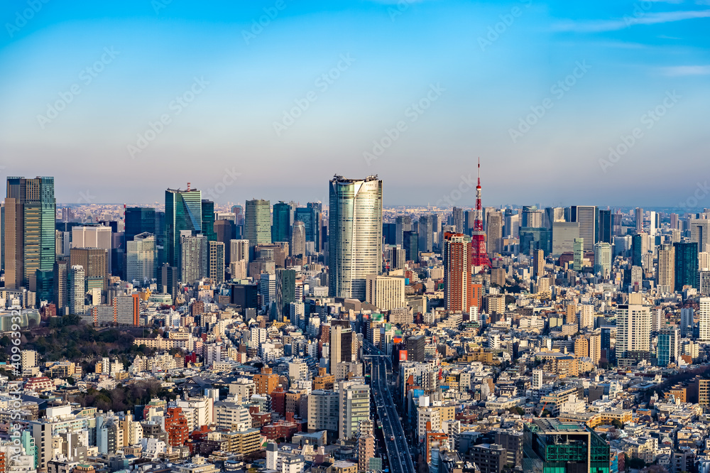 東京都渋谷区から見た東京の都市景観