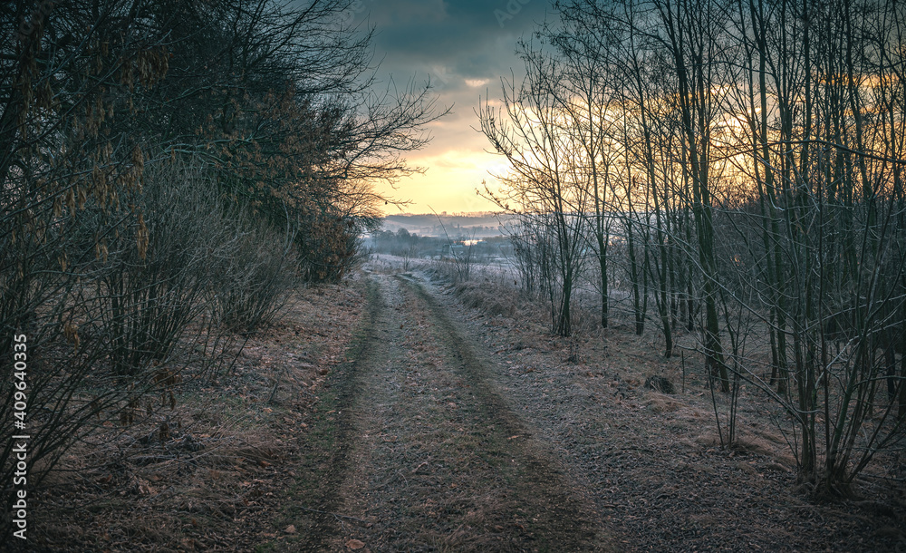Naklejka premium Winter moring among fields