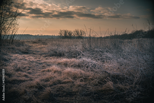 Winter moring among fields