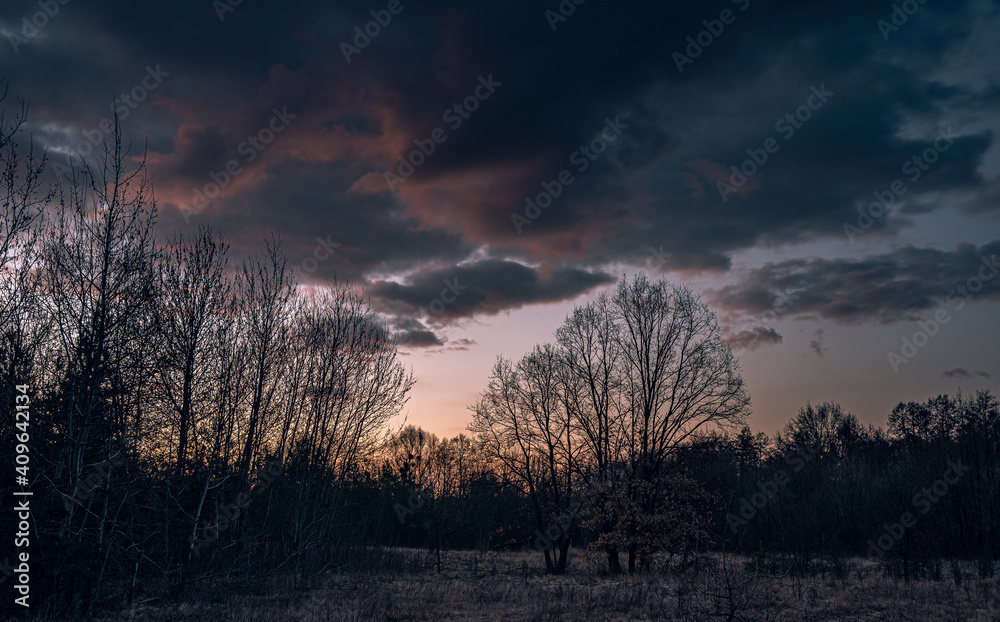 Fototapeta premium Winter moring among fields