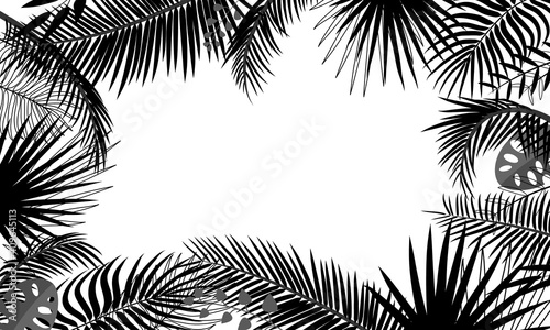 Banner template with tropical leaves, palm branches, monstera. Tropical poster with black outline drawing on a white background. Floral border, jungle concept, frame with place for text. Vector plant © Lyudmyla