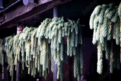 icicles hanging on a rope