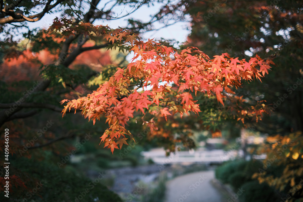 Japanese Garden in Daisen Park in Osaka, Japan Japanese Garden in Daisen Park in Osaka, Japan