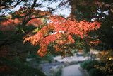 Japanese Garden in Daisen Park in Osaka, Japan