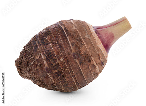 Taro isolated on white background.