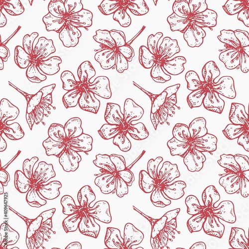 spring seamless pattern with with pink cherry flowers on a white background