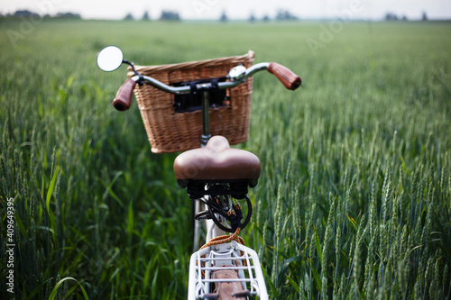 vintage bicycle in the young rye field.spring background