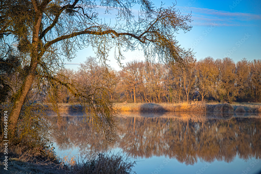 Fototapeta premium bords de Loire sous le brouillard, dizzinezz and fog on loire valley