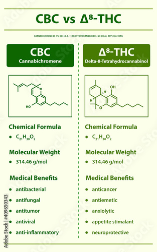 CBC vs ∆8-THC, Cannabichromene vs Delta 8 Tetrahydrocannabinol vertical infographic illustration about cannabis as herbal alternative medicine and chemical therapy, healthcare and medical vector.