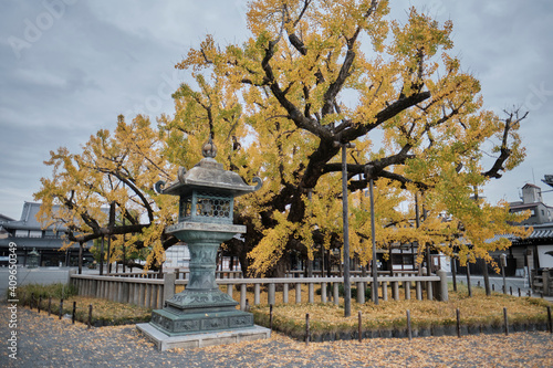 Nishi Honganji in Kyoto, Japan